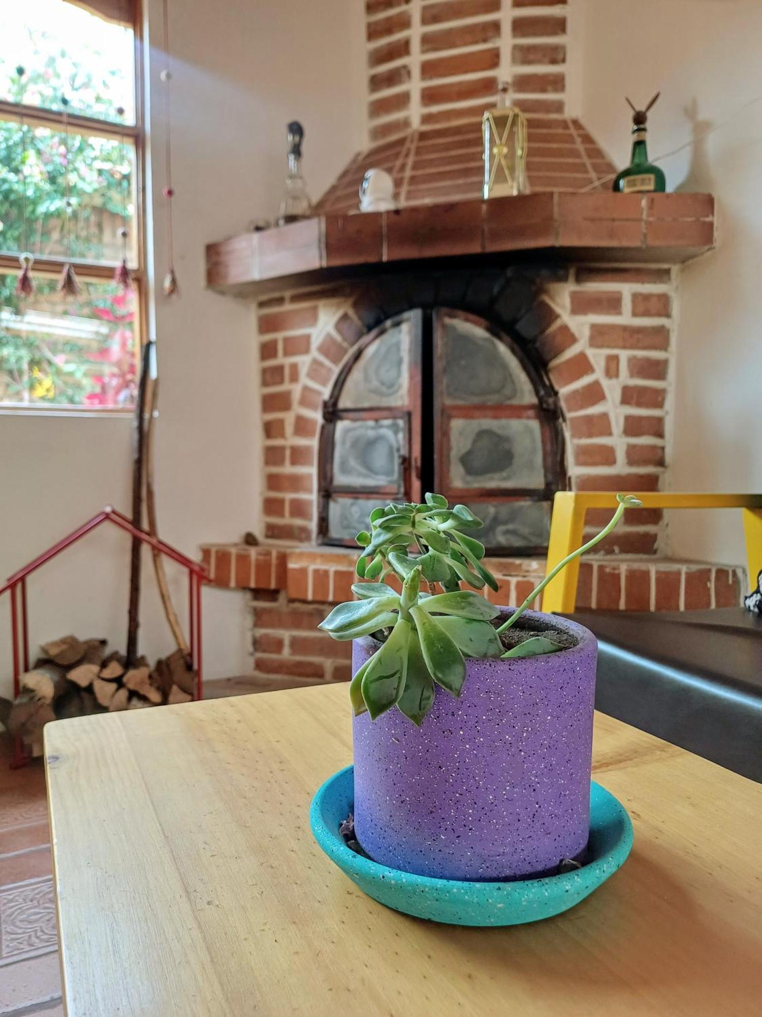 Casa Tribu Lejlighed Huaraz  Eksteriør billede